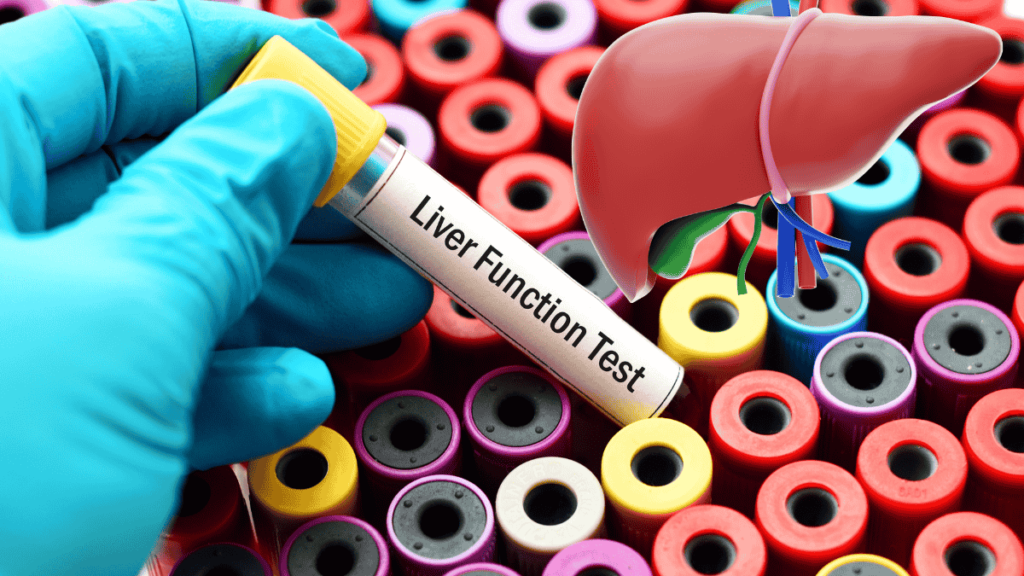 Liver Function Key Insights for a Healthier Life